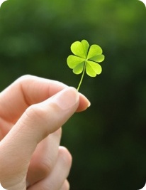 (주)네잎 이미지